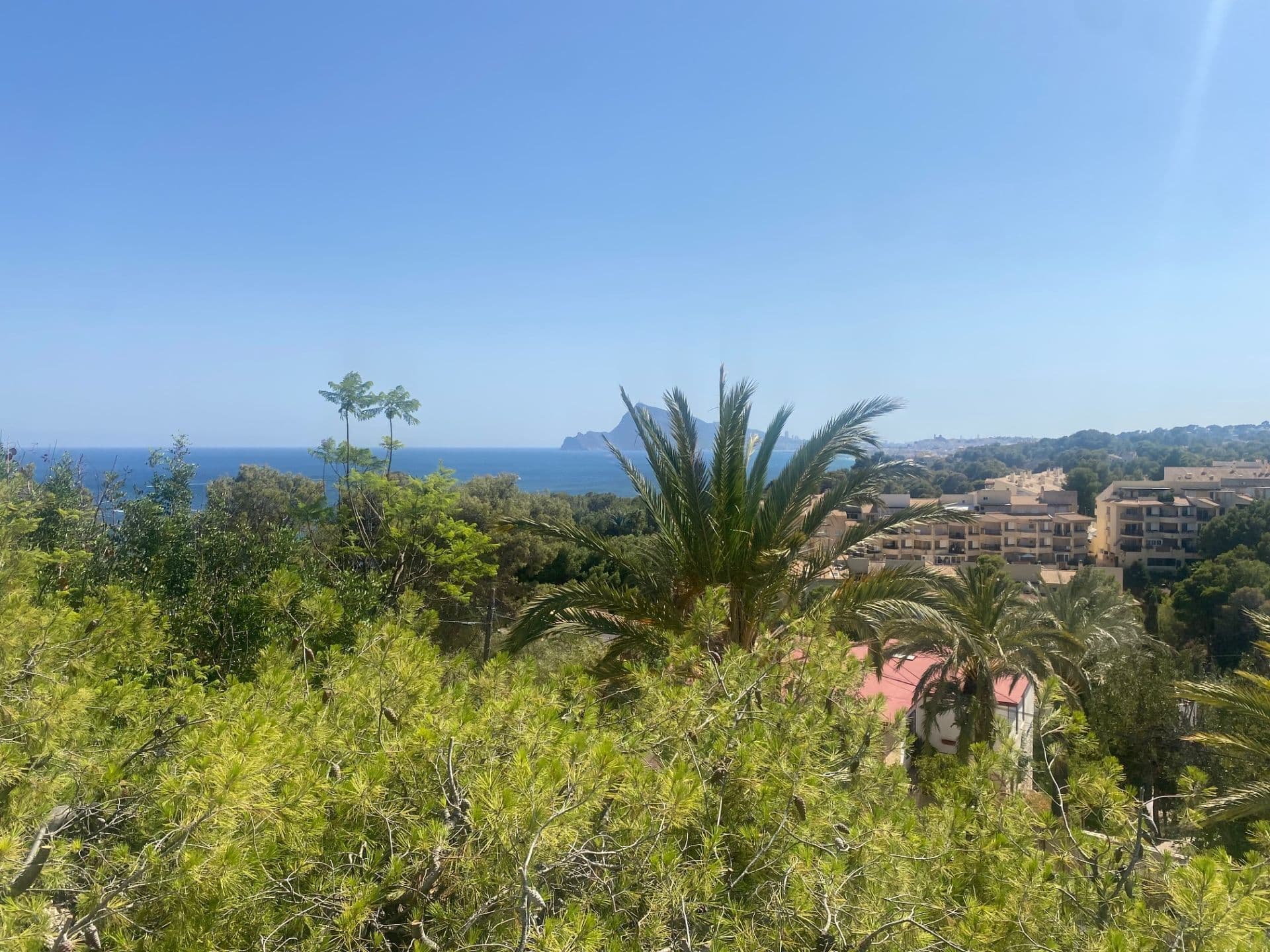 Plot in Altea