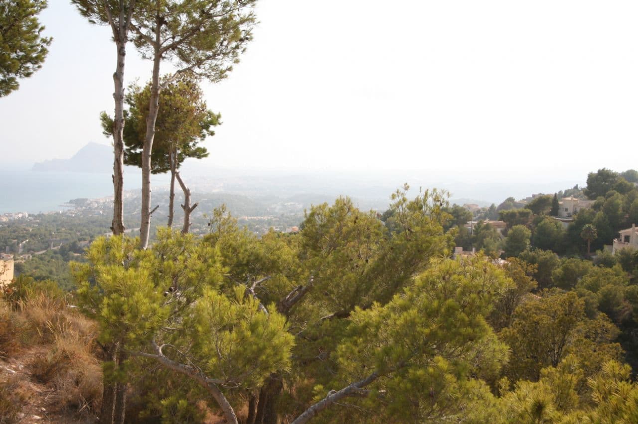 Plot in Altea