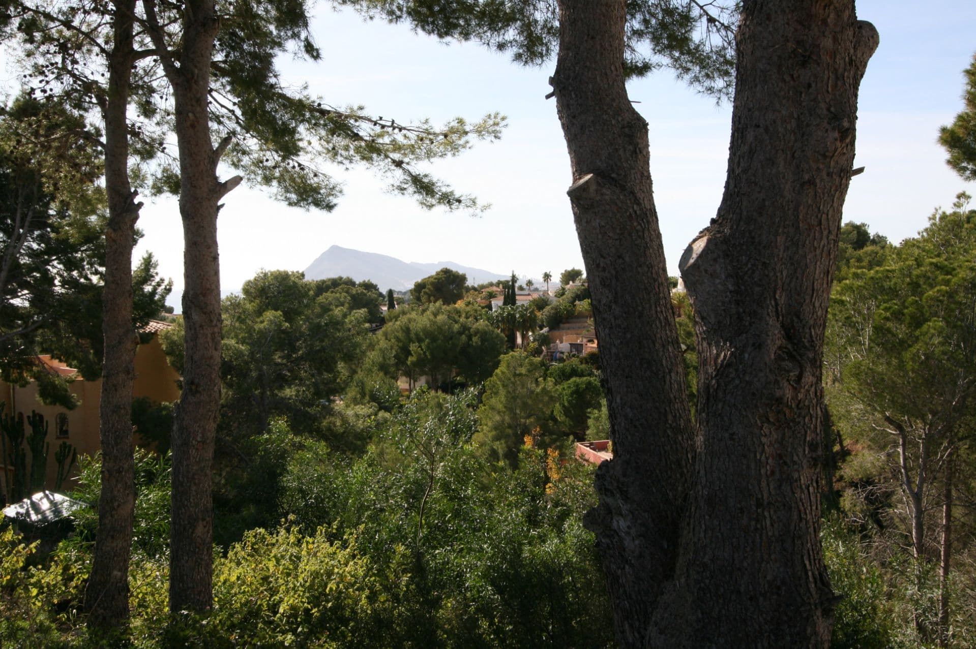 Plot in Altea