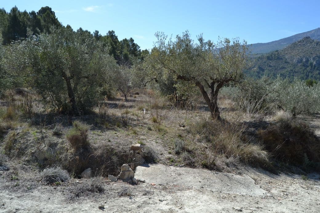 Parcela en Beniardá