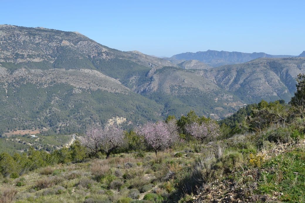 Parcela en Benimantell