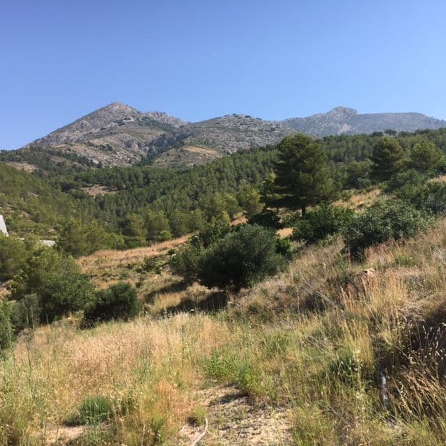 Parcela en Callosa d'En Sarrià