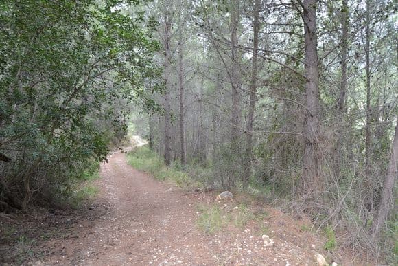 Parcela en Beniardá