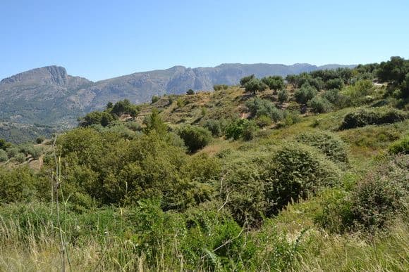 Parcela en Benimantell