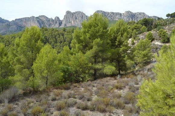 Parcela en Guadalest
