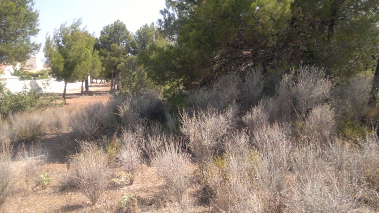 Parcela en La Nucía